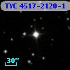 TYC 4517-2120-1