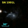 SN 1991L