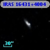IRAS 16431+4004