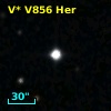 V* V856 Her
