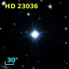 HD  23036