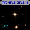 TYC 4513-2517-1