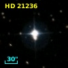 HD  21236