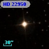 HD  22950
