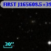 FIRST J165608.5+391950