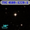 TYC 4509-1229-1