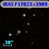 IRAS F17023+3909
