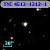 TYC 4513-1313-1
