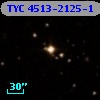 TYC 4513-2125-1