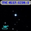 TYC 4517-1238-1