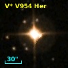 V* V954 Her