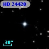 HD  24420