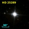 HD  25289