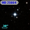 HD  25664