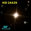 HD  24439
