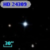 HD  24309