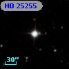 HD  25255
