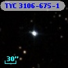 TYC 3106-675-1