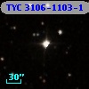 TYC 3106-1103-1