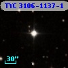 TYC 3106-1137-1
