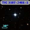 TYC 3107-2466-1
