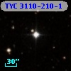 TYC 3110-210-1