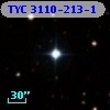 TYC 3110-213-1