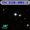 TYC 3110-1001-1