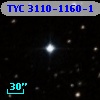 TYC 3110-1160-1