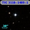 TYC 3110-1409-1