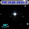 TYC 3110-1813-1
