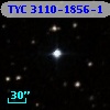TYC 3110-1856-1