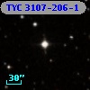 TYC 3107-206-1