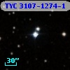 TYC 3107-1274-1