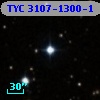TYC 3107-1300-1