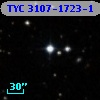 TYC 3107-1723-1