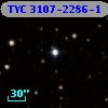 TYC 3107-2286-1