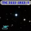 TYC 3111-1813-1
