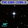 TYC 3107-2299-1