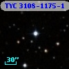 TYC 3108-1175-1