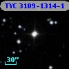 TYC 3109-1314-1