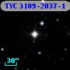 TYC 3109-2037-1