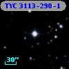 TYC 3113-290-1