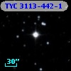 TYC 3113-442-1
