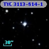 TYC 3113-814-1