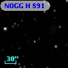 NOGG H  891