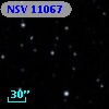 NSV 11067