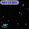 NSV 11163