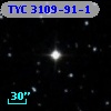 TYC 3109-91-1
