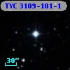 TYC 3109-101-1